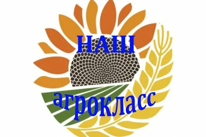 Стажерская практика 23.10.2025.