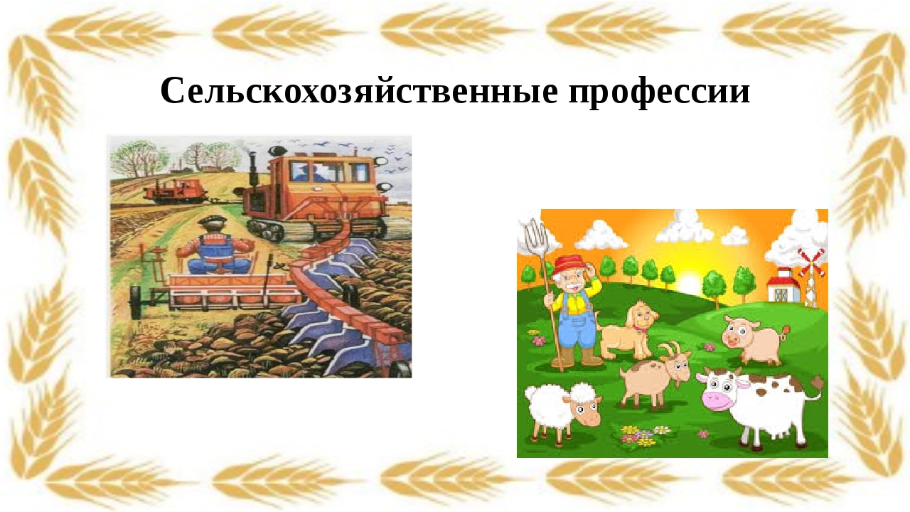 Знакомство с сельскохозяйственными профессиями ДОУ &amp;quot;Звездочка&amp;quot;.